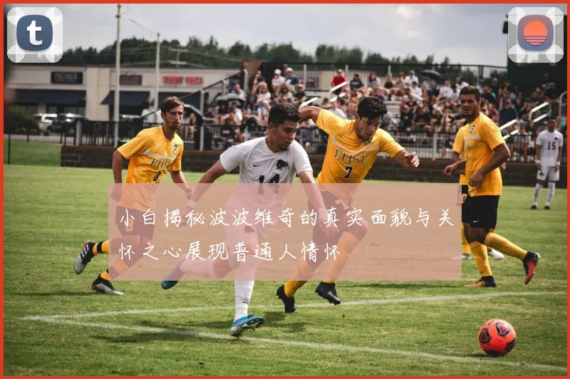 小白揭秘波波维奇的真实面貌与关怀之心展现普通人情怀